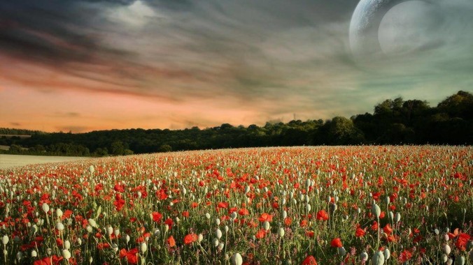 【南海之梦号邮轮】西沙群岛4天3晚游